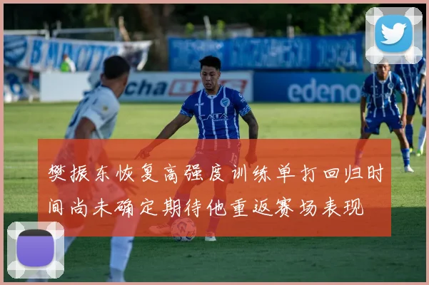 樊振东恢复高强度训练单打回归时间尚未确定期待他重返赛场表现