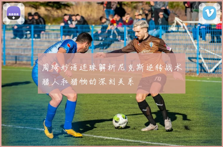 周琦妙语连珠解析尼克斯逆转战术猎人和猎物的深刻关系